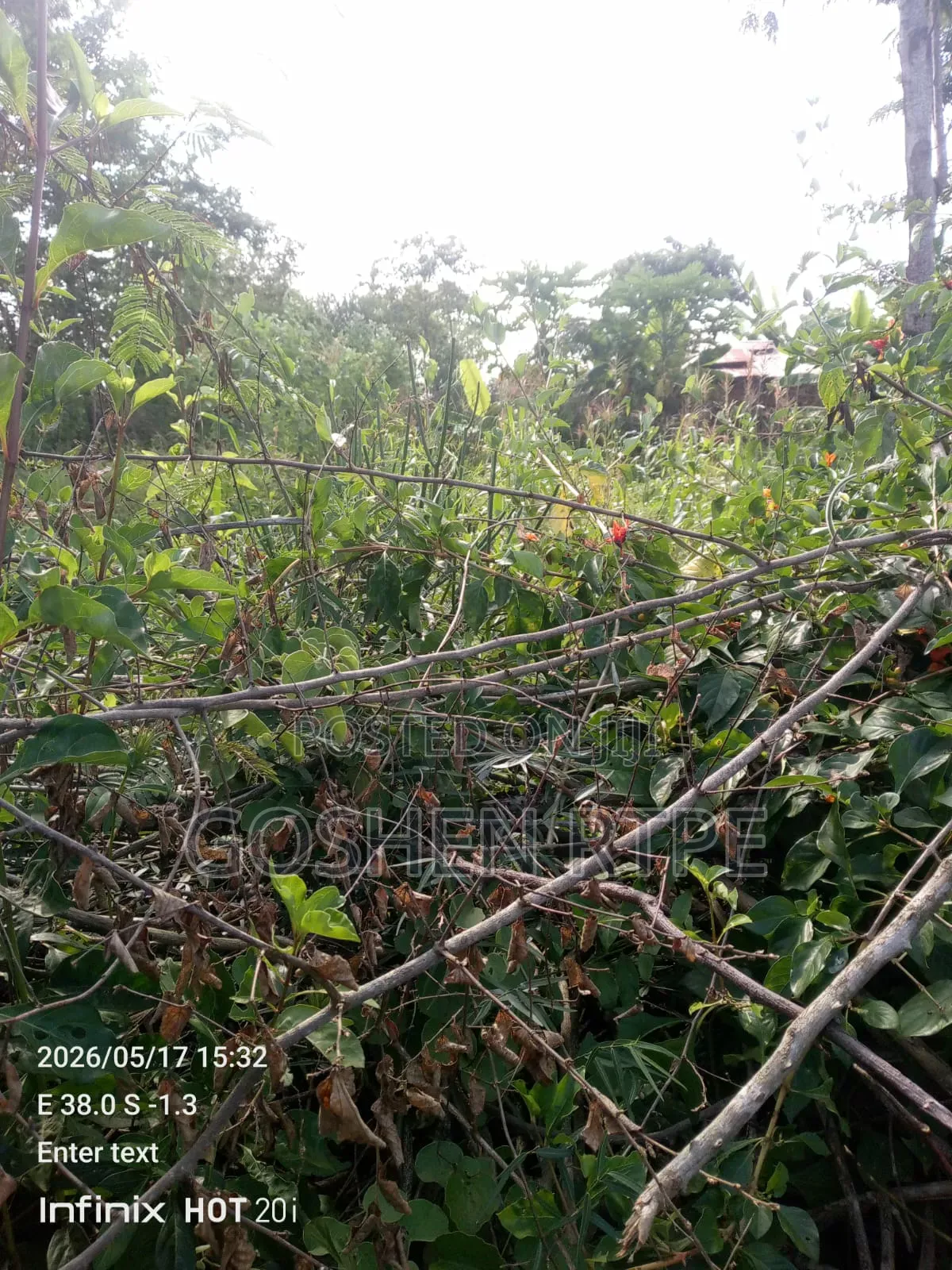 Prime 4.5 Acres on Sale at Kwa Vonza Kitui County