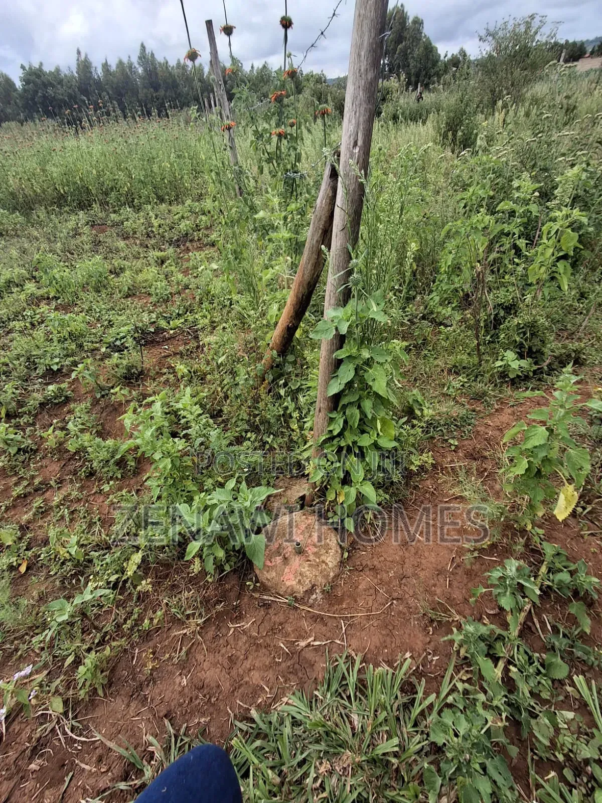 1⁄8 Acre Plots on Sale. DMM