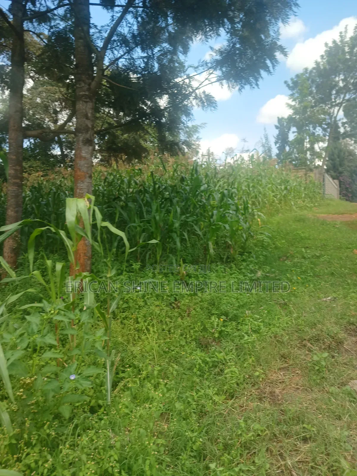 100 by 100 Plot for Lease in Ndwaru Road