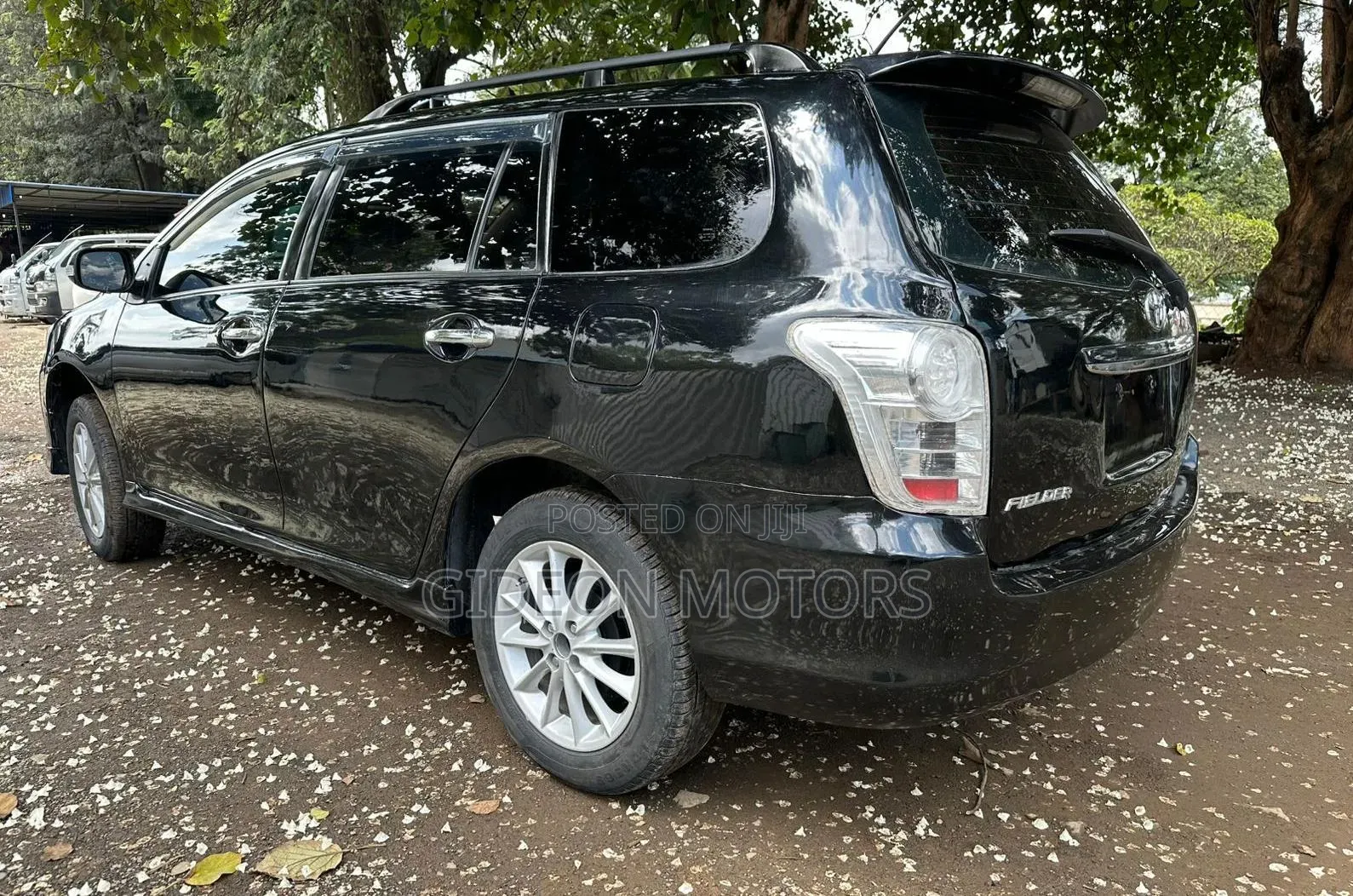 Toyota Corolla Fielder 2010 Black