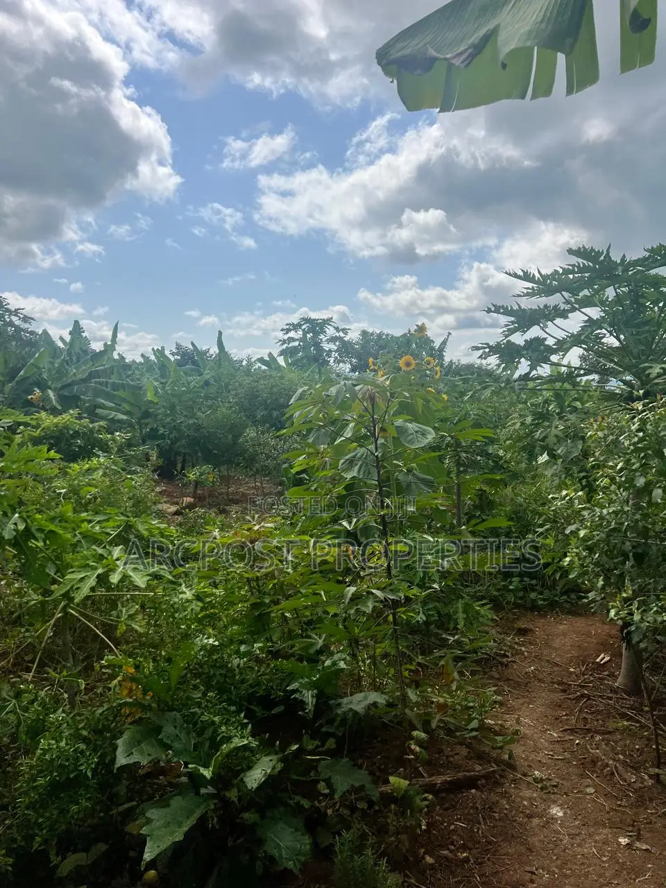 Prime 2 Acres Agricultural Land for Sale in Kiboi Fronting Kiboi River