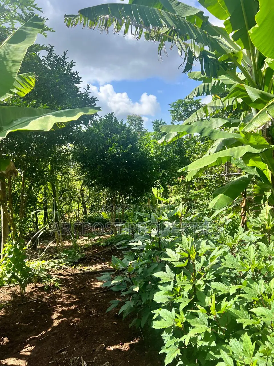 Prime 2 Acres Agricultural Land for Sale in Kiboi Fronting Kiboi River