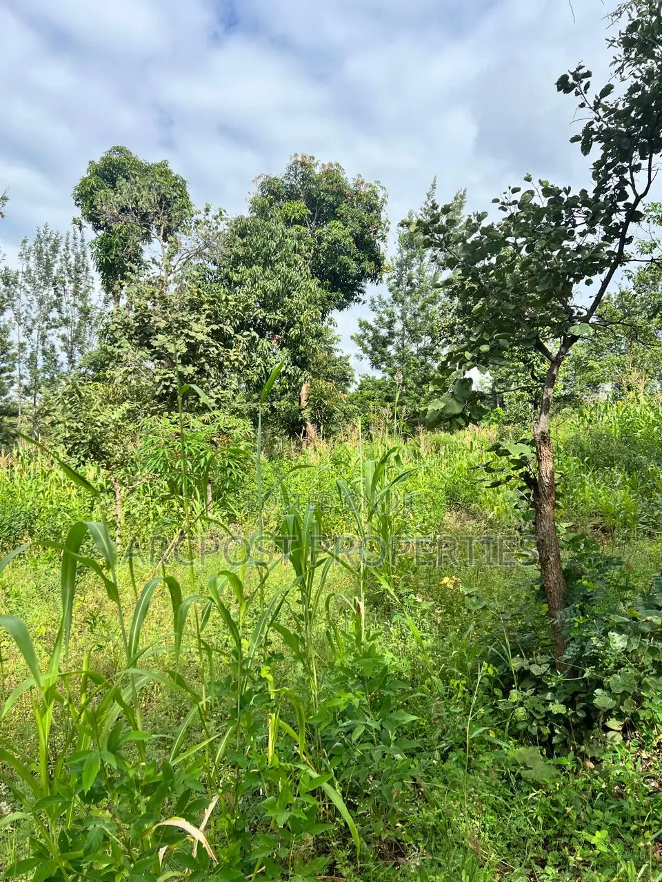 Prime 2 Acres Agricultural Land for Sale in Kiboi Fronting Kiboi River