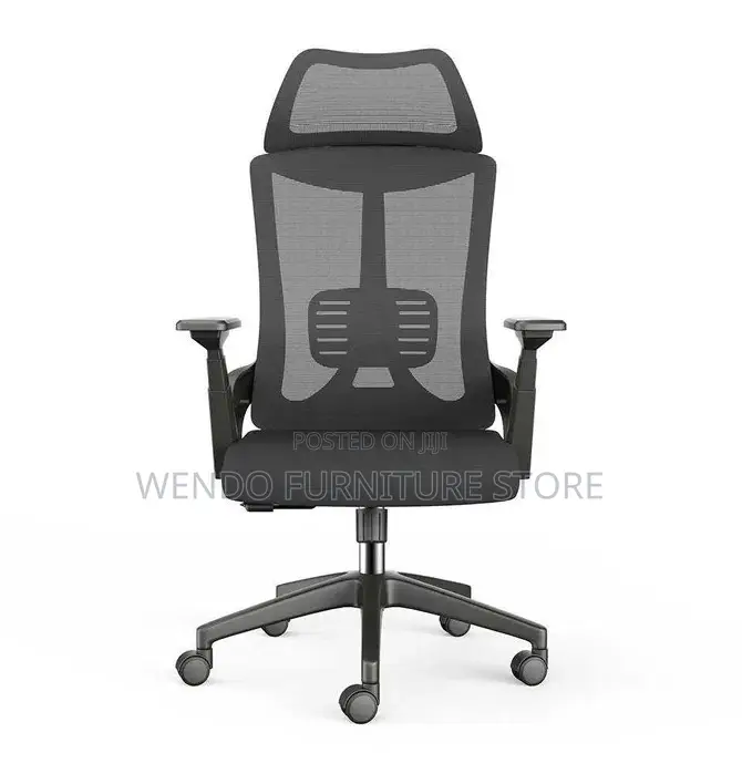 Office Chair Lama High-Back Orthopedic Office Chair