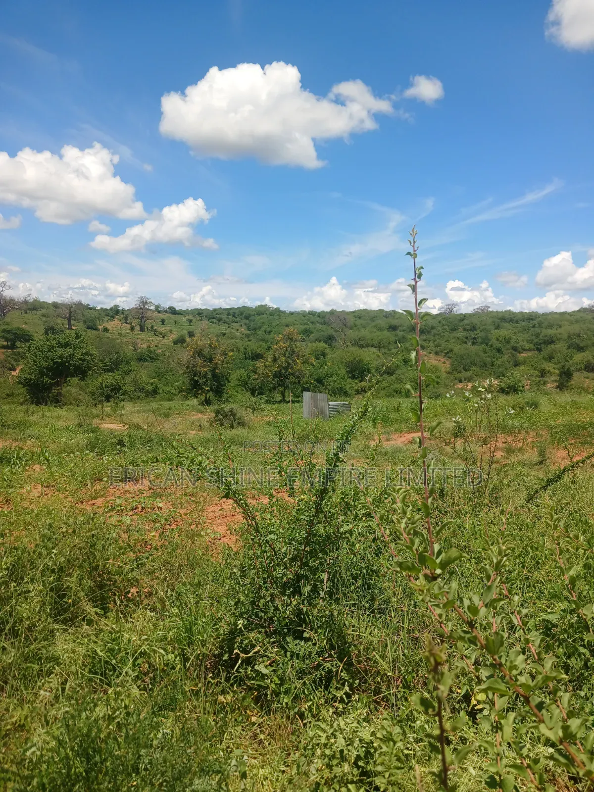 20 Acres Prime Land for Sale in Embu