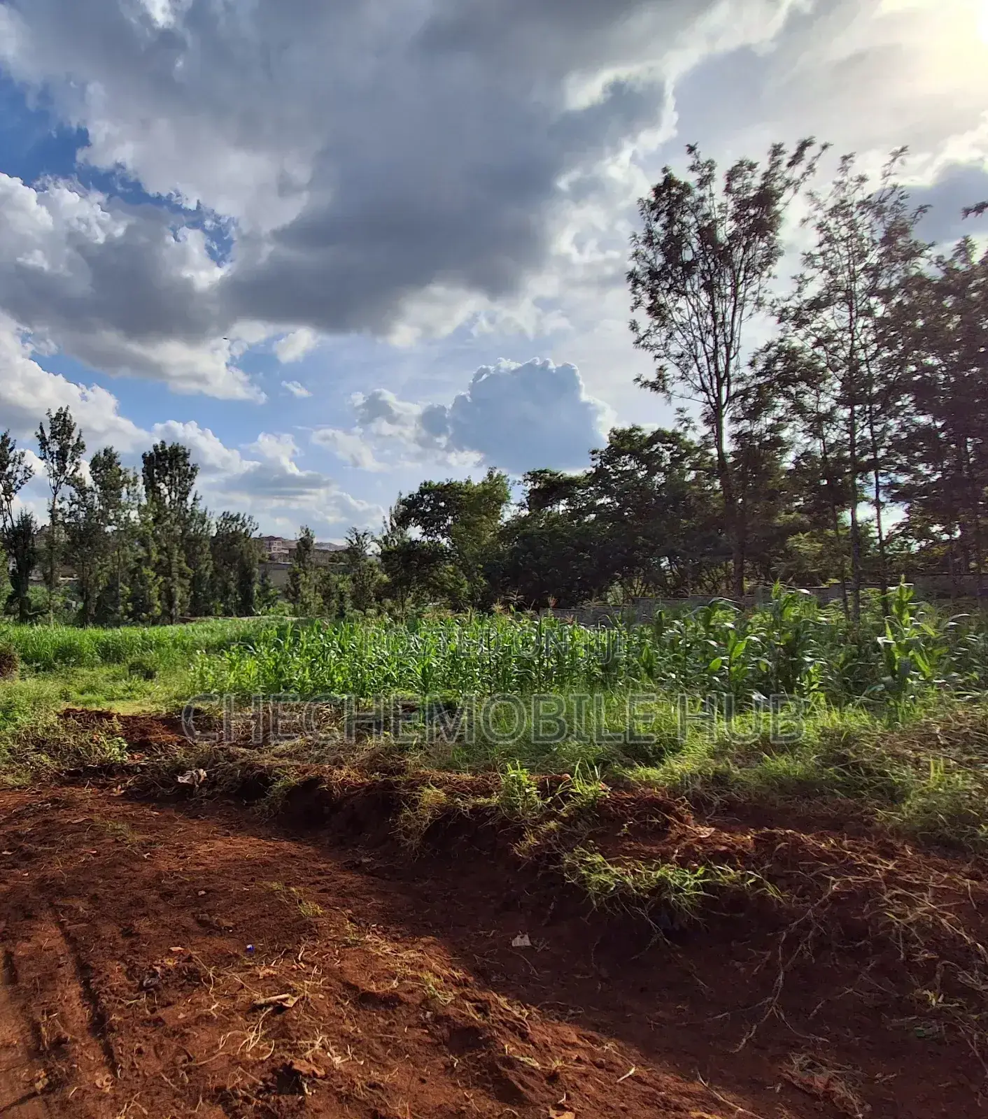 Half an Acre on Sale in Kamuthi ,Maziwa Off Northern Bypass