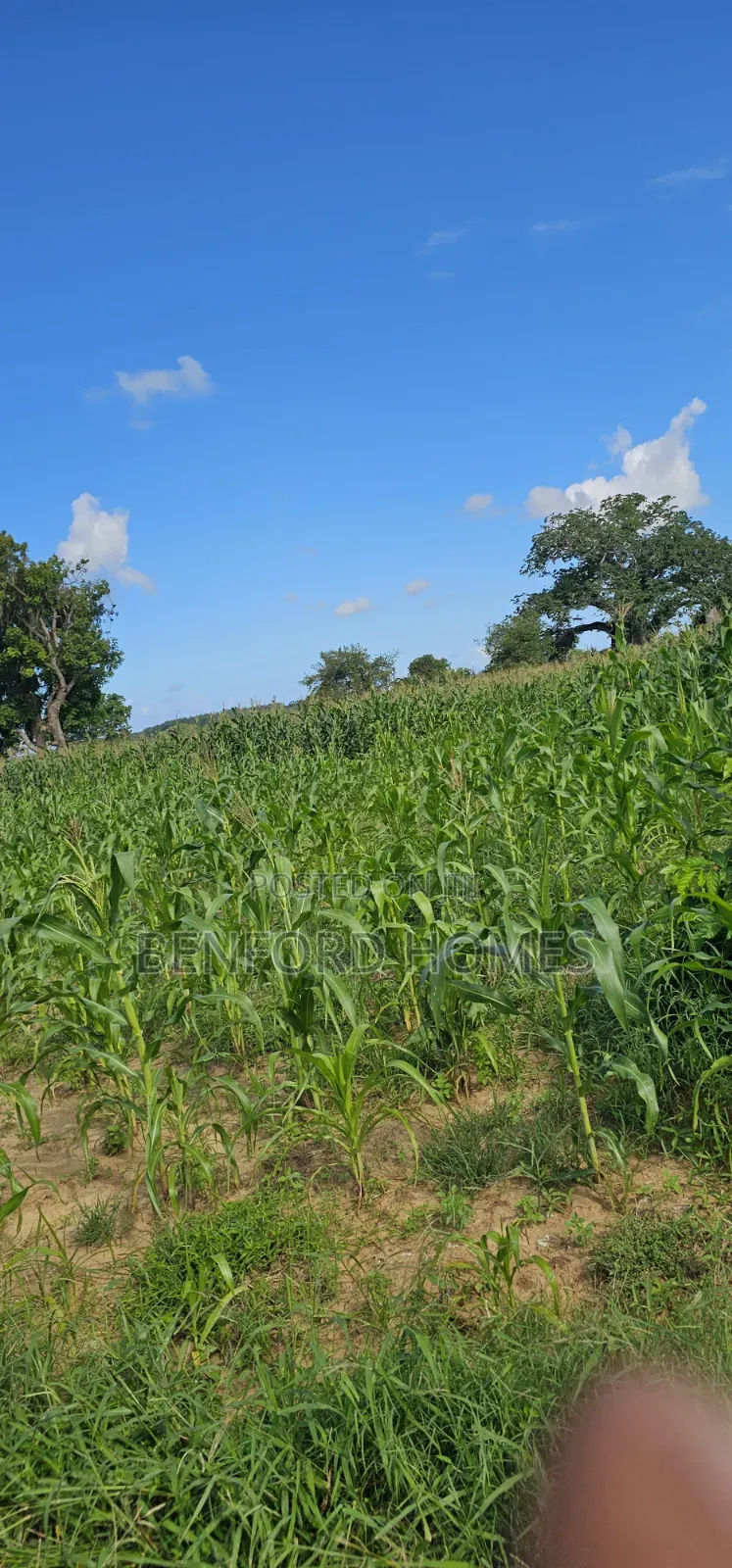12 Acres Agricultural Land on Sale Mavueni Near Bahari Girls