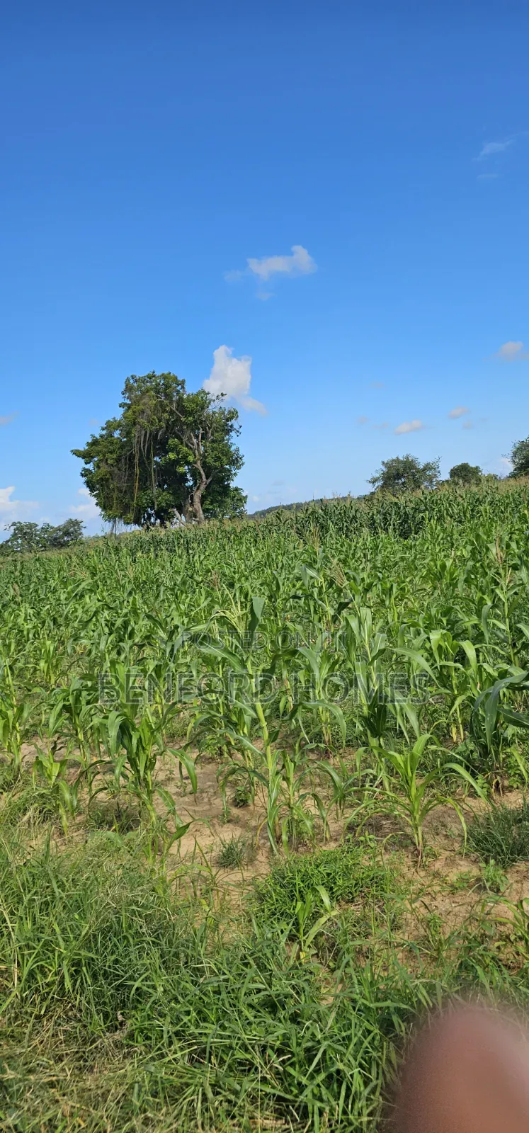 12 Acres Agricultural Land on Sale Mavueni Near Bahari Girls