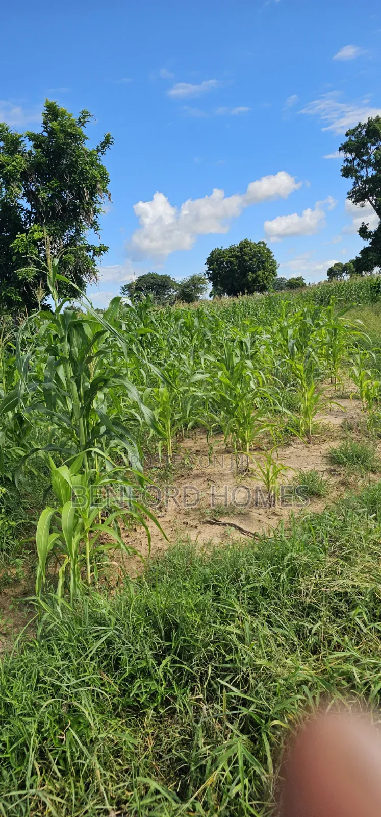 12 Acres Agricultural Land on Sale Mavueni Near Bahari Girls