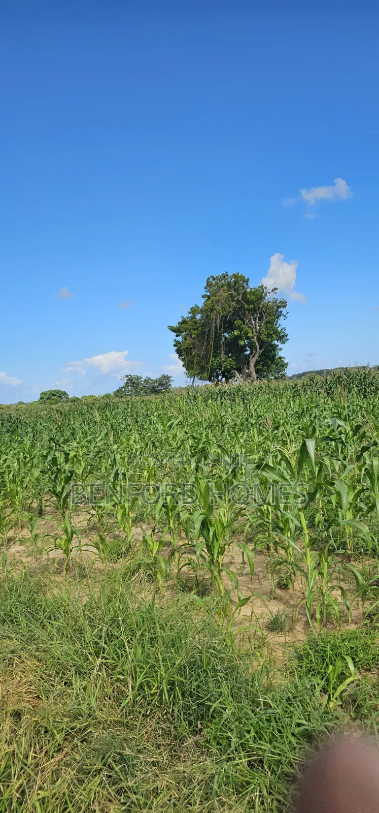 12 Acres Agricultural Land on Sale Mavueni Near Bahari Girls