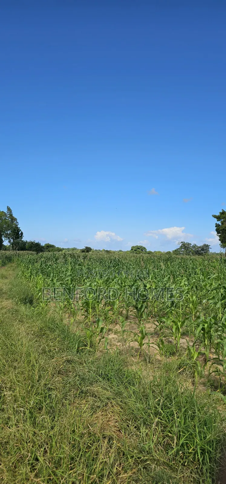 12 Acres Agricultural Land on Sale Mavueni Near Bahari Girls