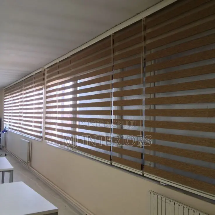 Stylish Zebra Blinds for Windows Modern Light Control Design