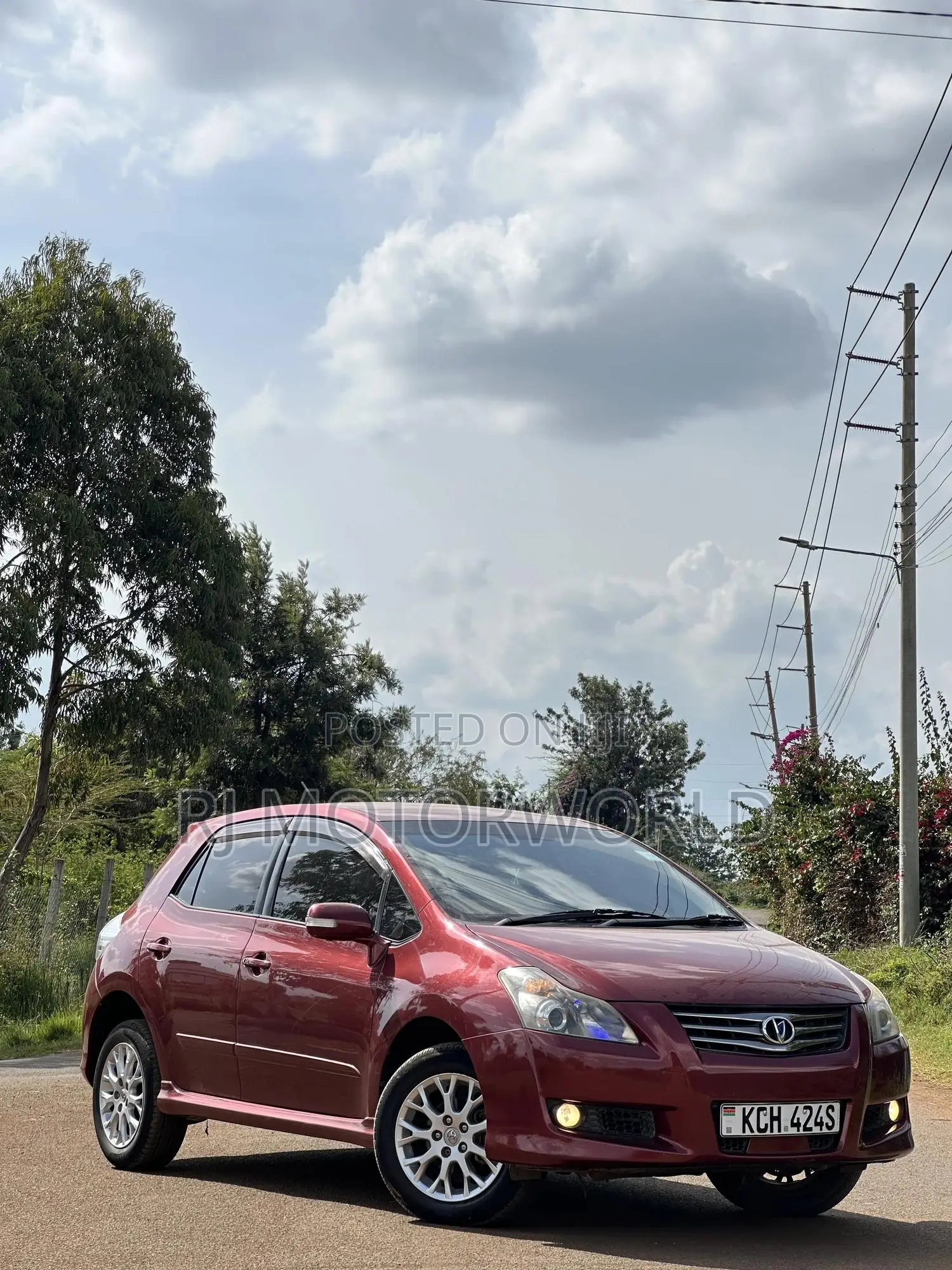 Toyota Blade 2008 Red