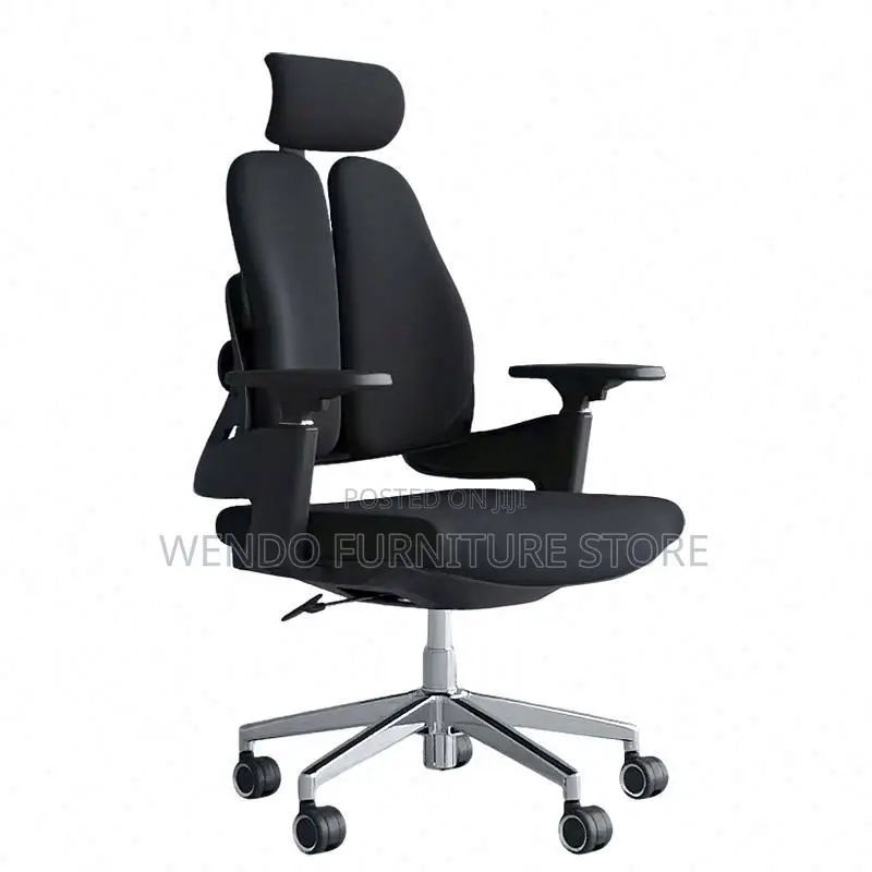 Office Chair : Modern Black Dual-Backrest Ergonomic Office Chair