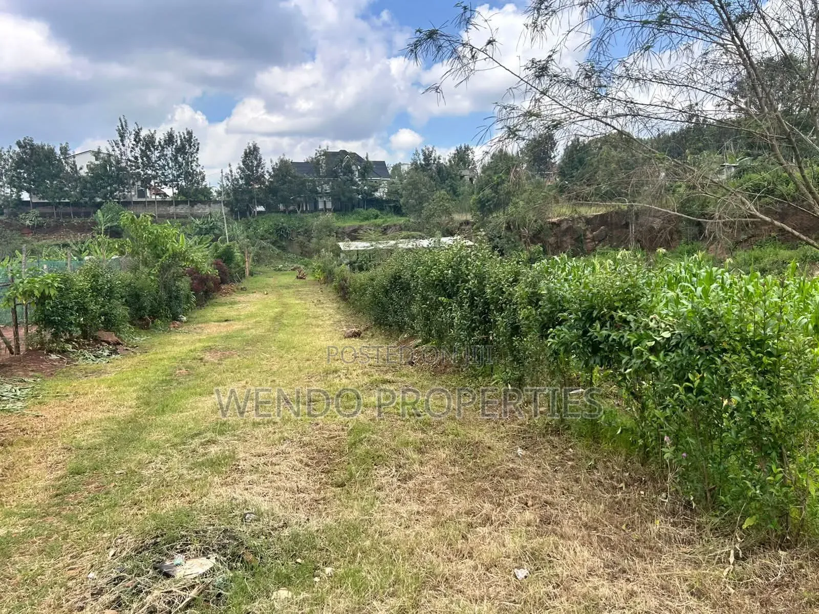 Quarter Acre for Sale