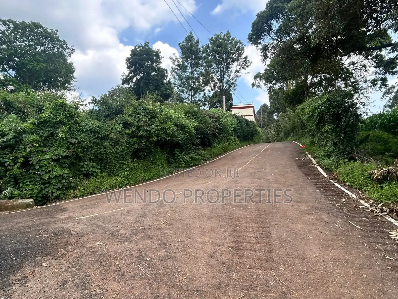 Quarter Acre for Sale