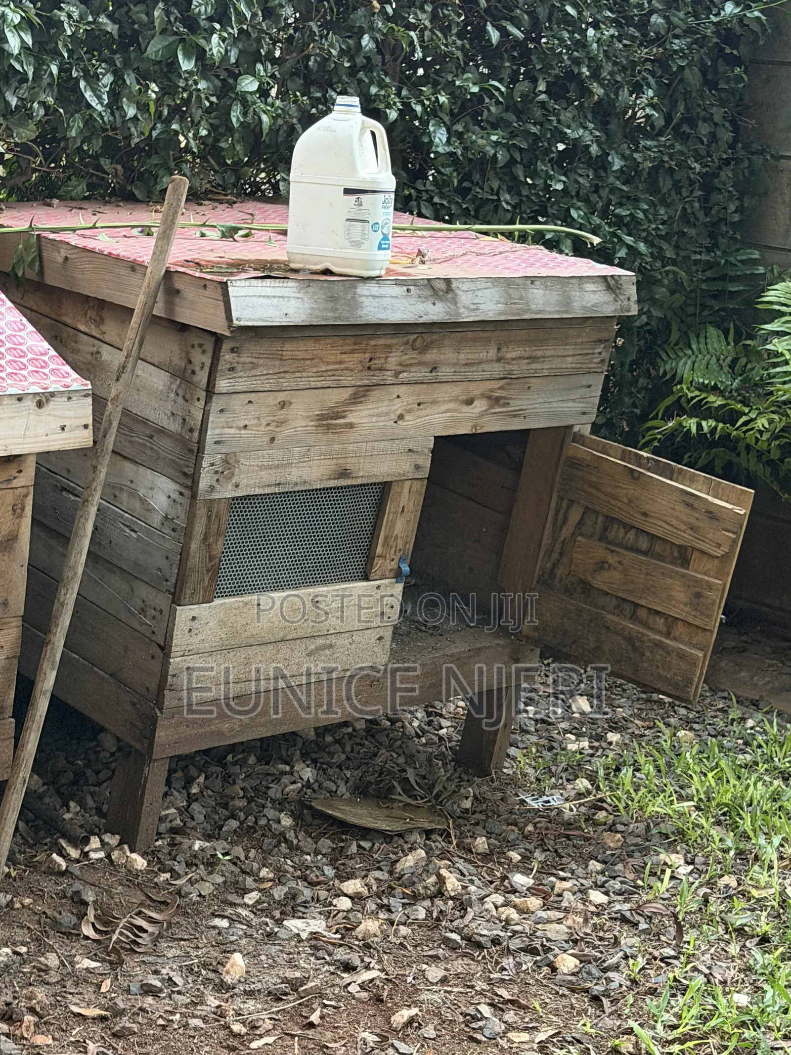 Chicken and Dogs Cages