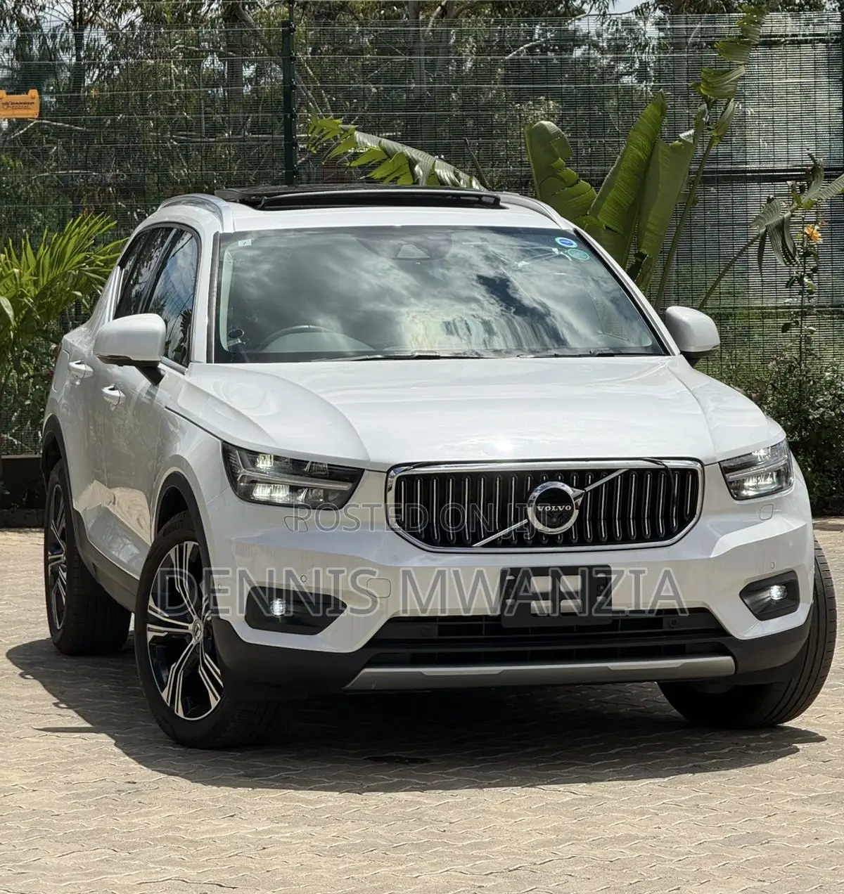 Volvo XC40 2019 Pearl