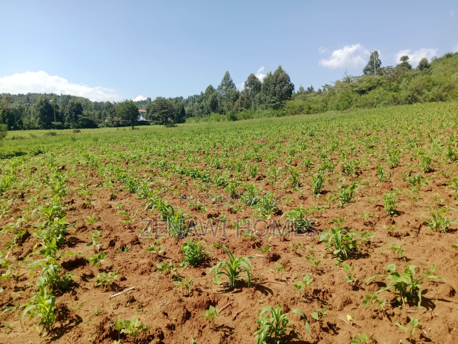 Land on Sale in Kikuyu. D.M