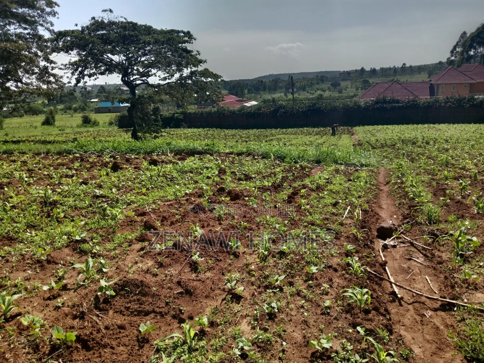 Land on Sale in Kikuyu. D.M