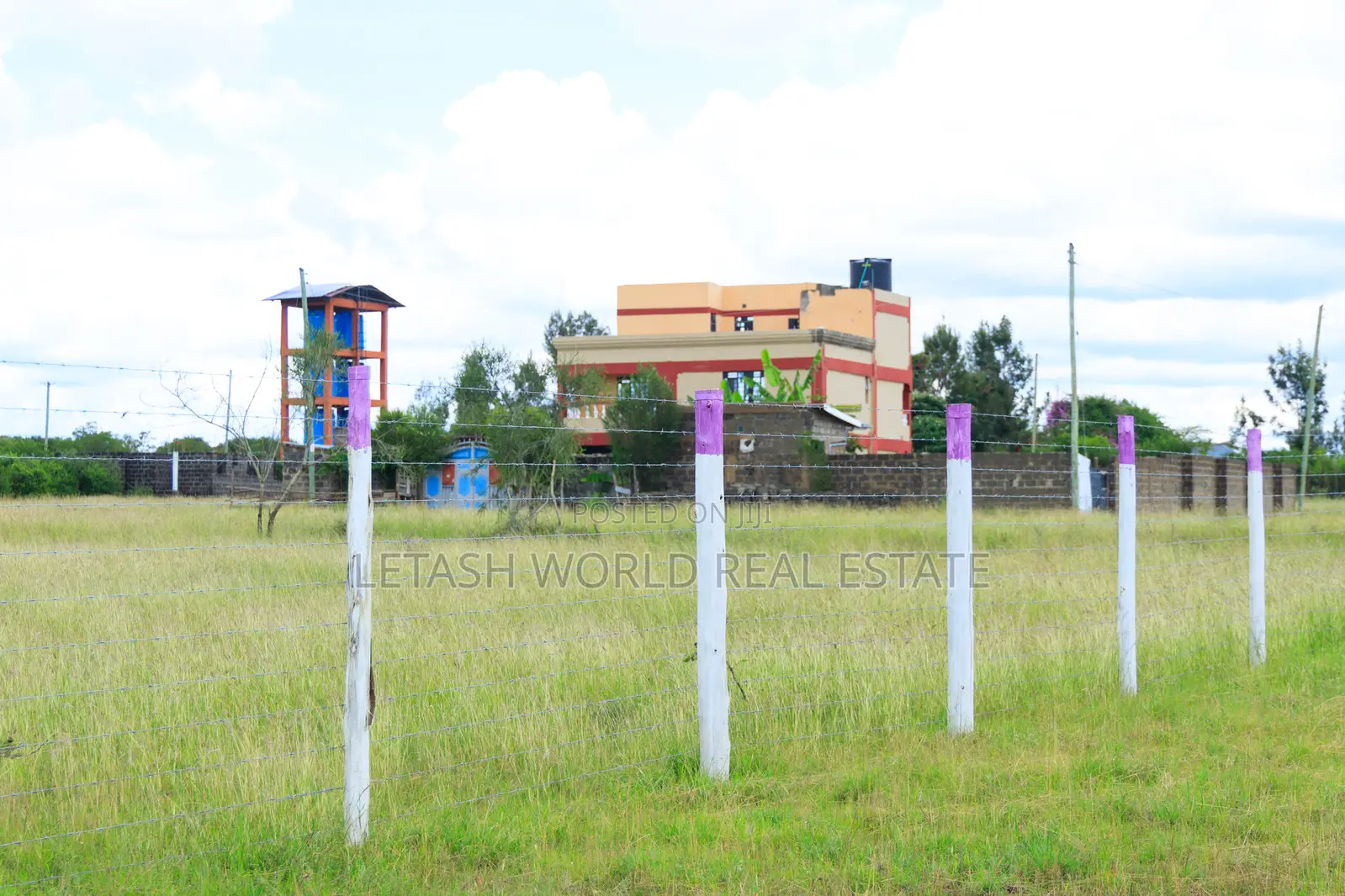 50 by 100 Prime Plots in Joskja Mutlia