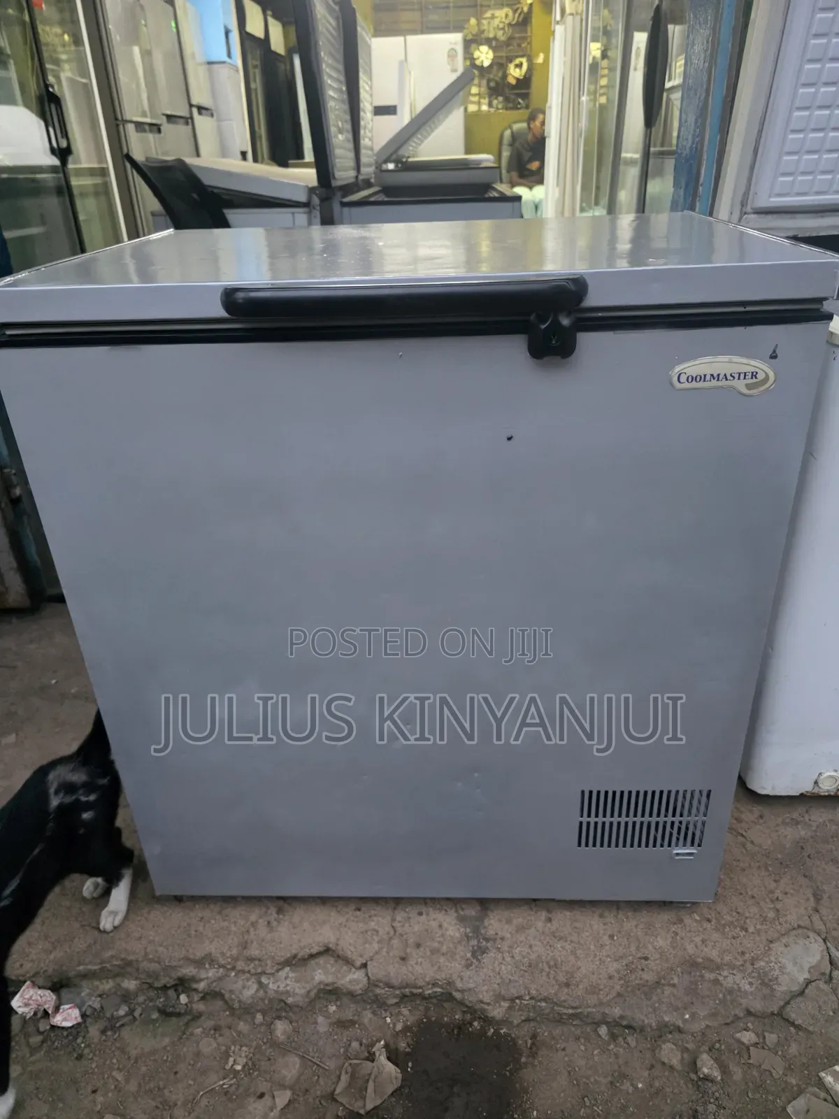 250l Closed Freezer