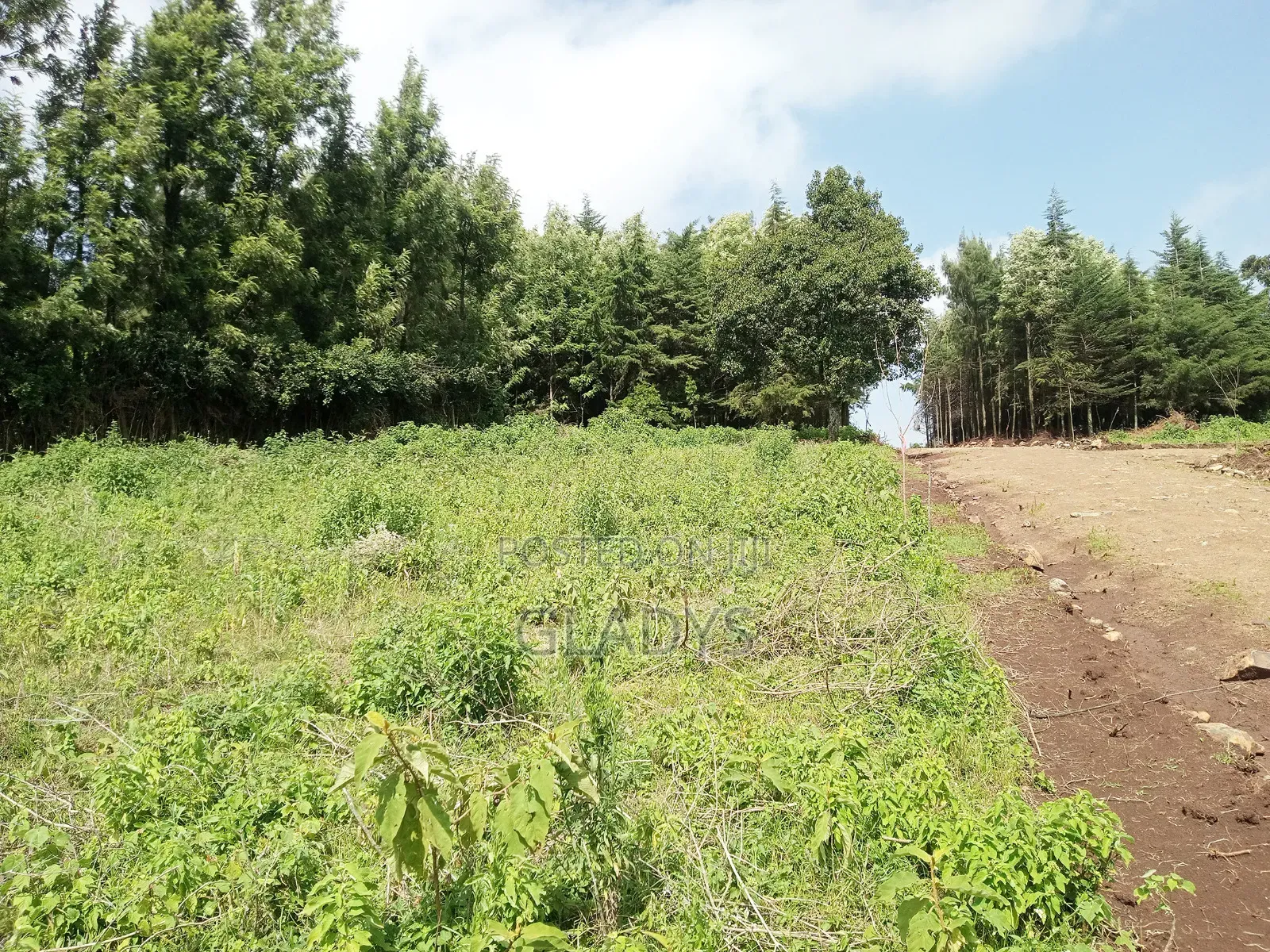 Kibiko 1/8acre Plot Along Lemiso Road