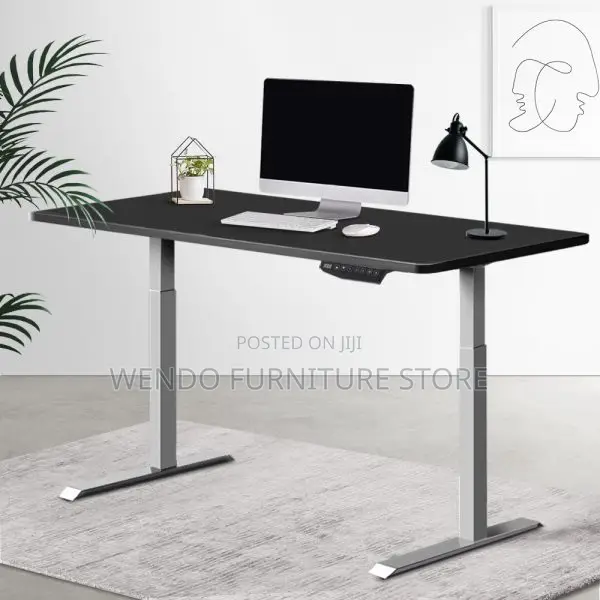 Office Desk : 1.6m Black Motorized Sit-Stand Desk