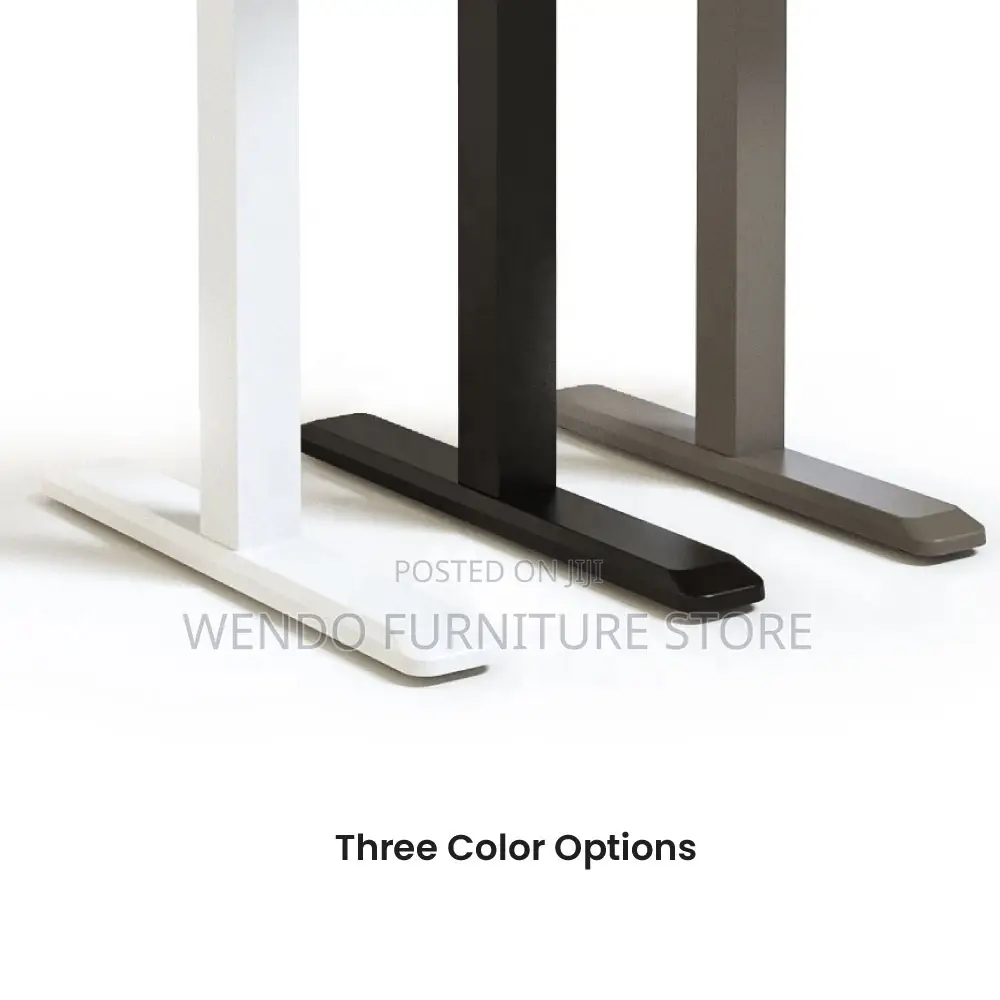 Office Desk : 1.6m Black Motorized Sit-Stand Desk