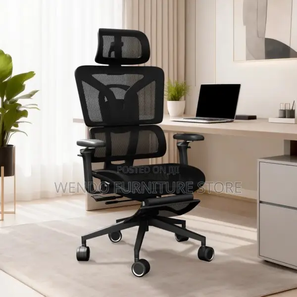 Office Chair : Black Mesh Ergonomic Office Chair-retractable Footrest