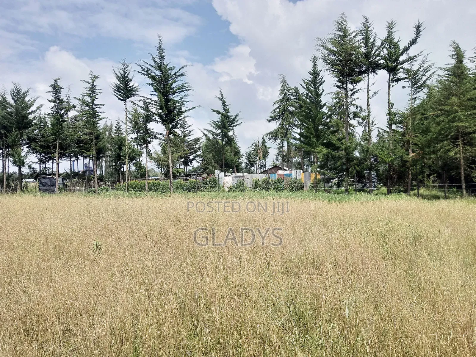 Kinagop Kwa Ben 2.397 Acres Along Kahuru