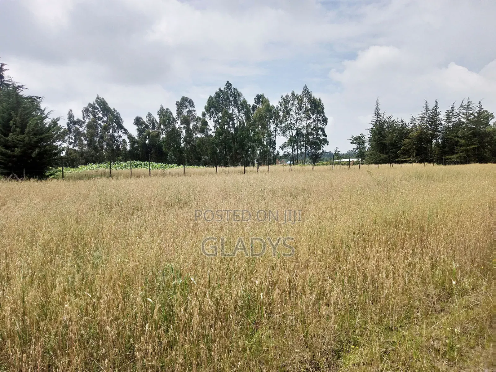 Kinagop Kwa Ben 2.397 Acres Along Kahuru