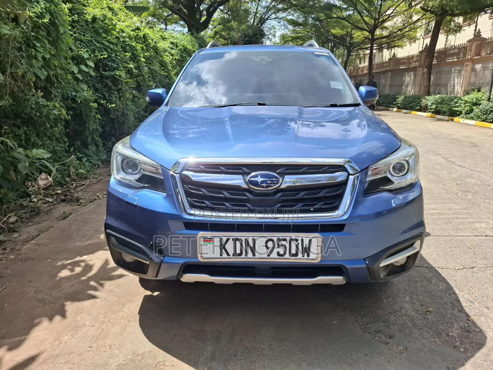 Subaru Forester 2016 Blue
