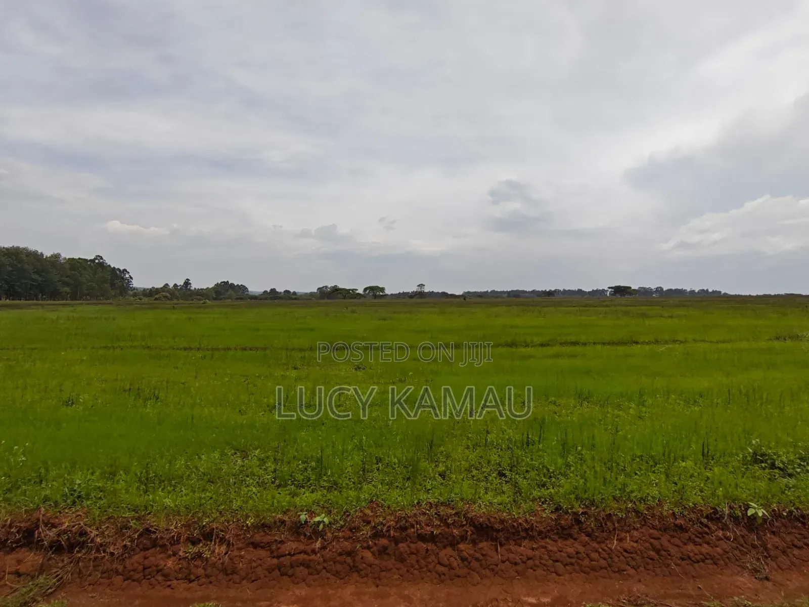 1⁄4 Acre Prime Gated Community Plots in Kitale