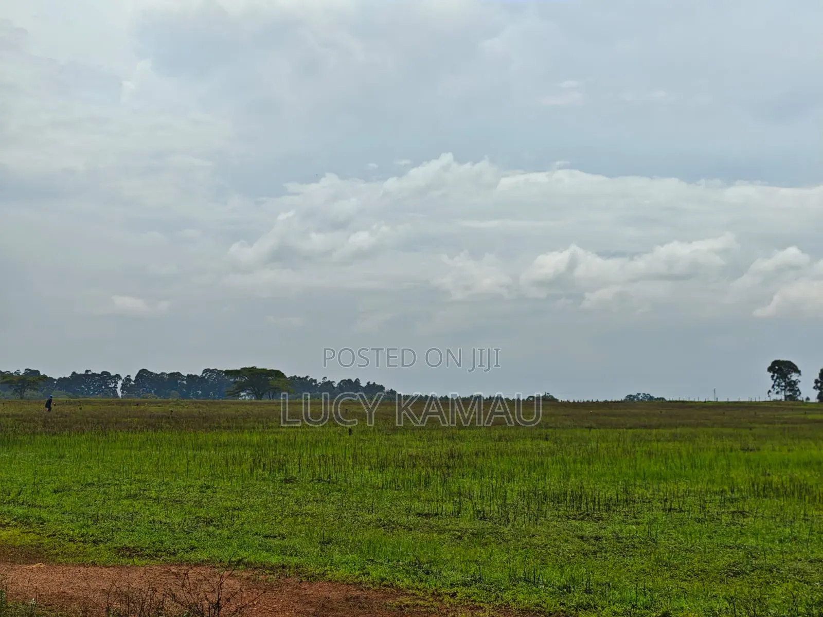 1⁄4 Acre Prime Gated Community Plots in Kitale