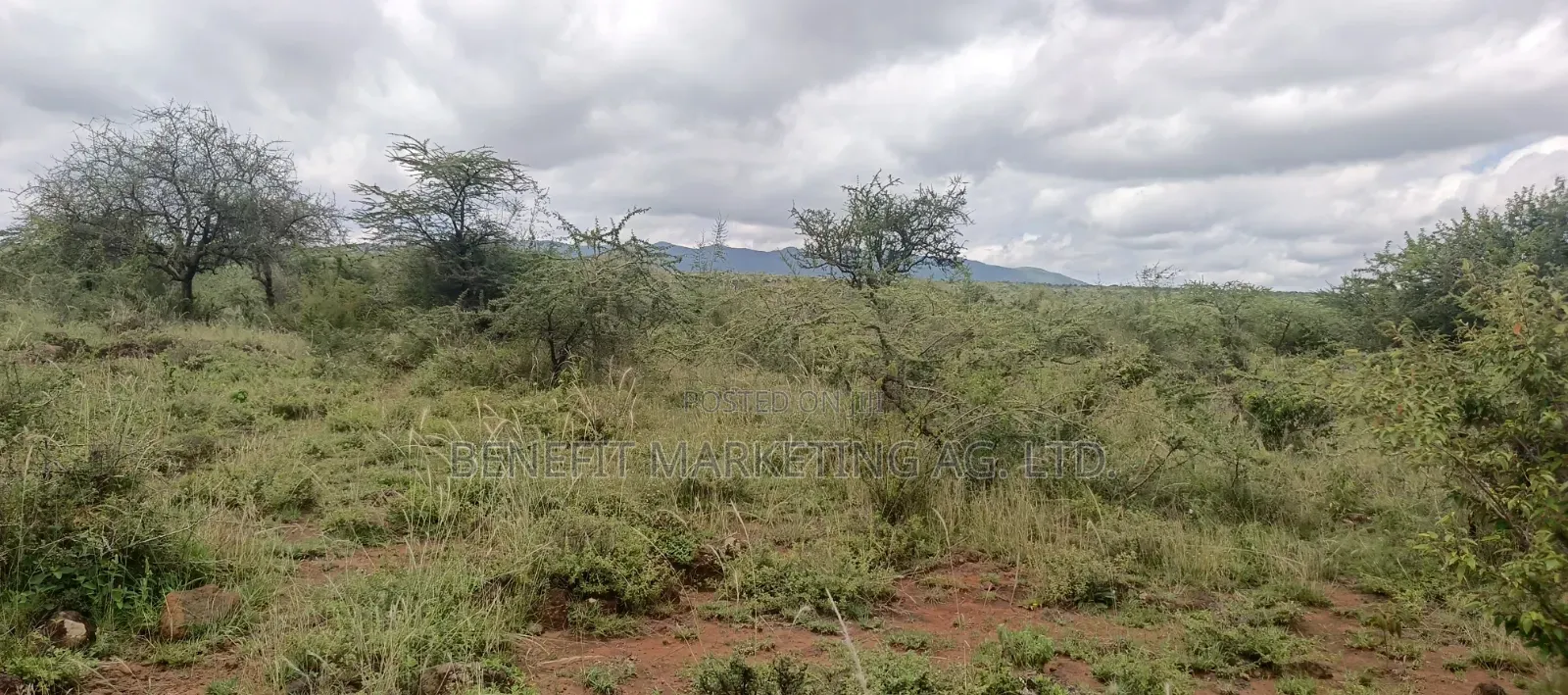 2.75 Acres for Sale in Ngong Kimuka Maroroi.