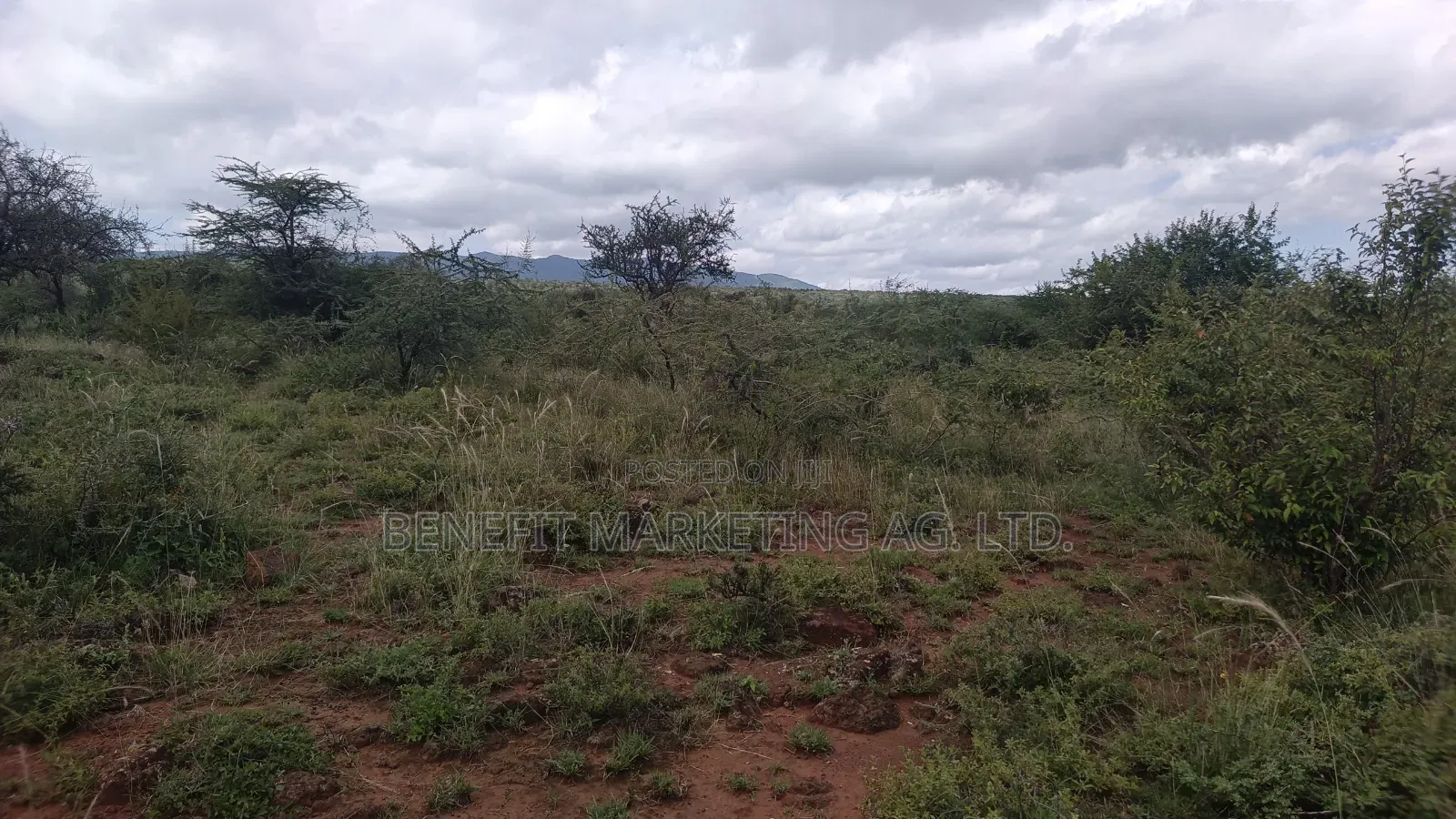 2.75 Acres for Sale in Ngong Kimuka Maroroi.