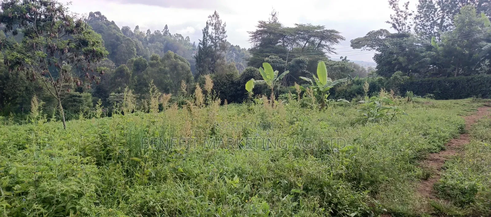 Quarter Acre Plots for Sale in Ngong Matasia, Barabara Mpya