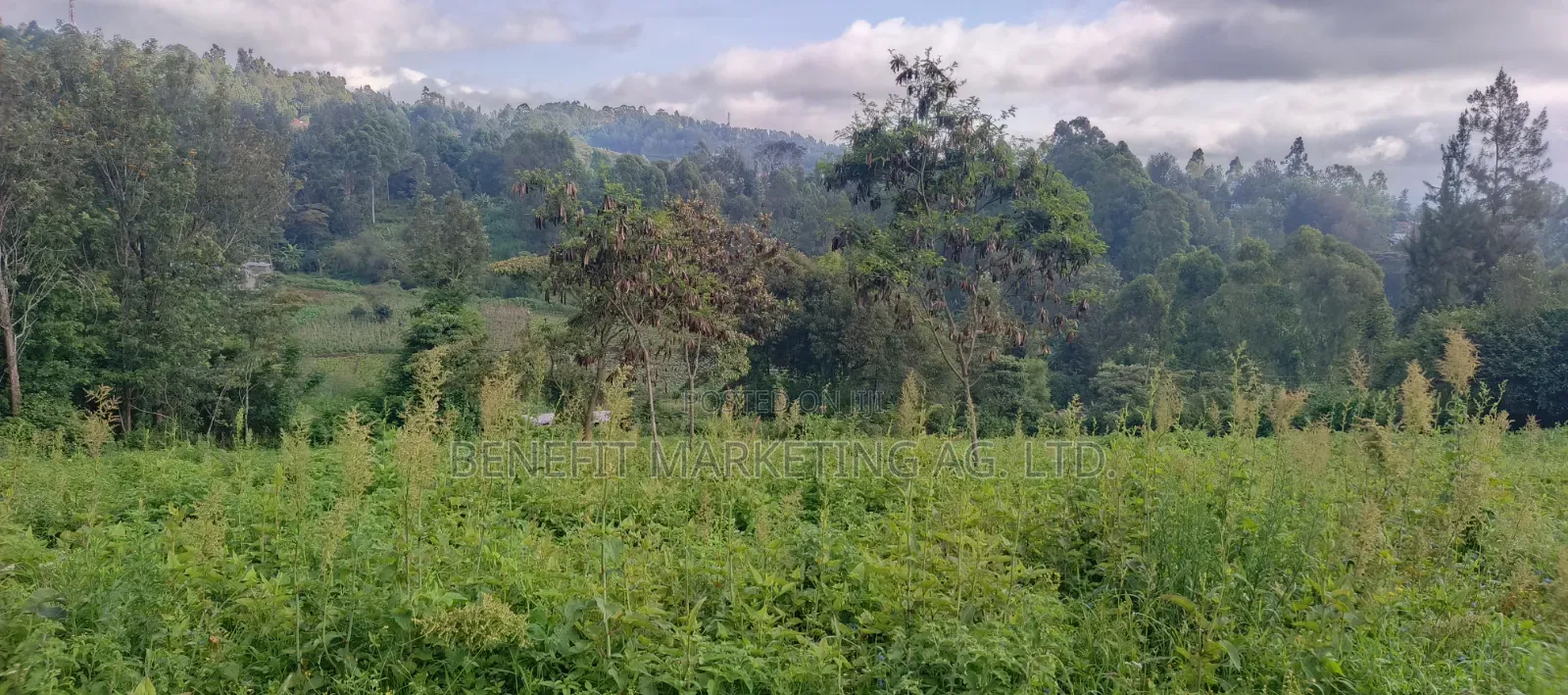 Quarter Acre Plots for Sale in Ngong Matasia, Barabara Mpya