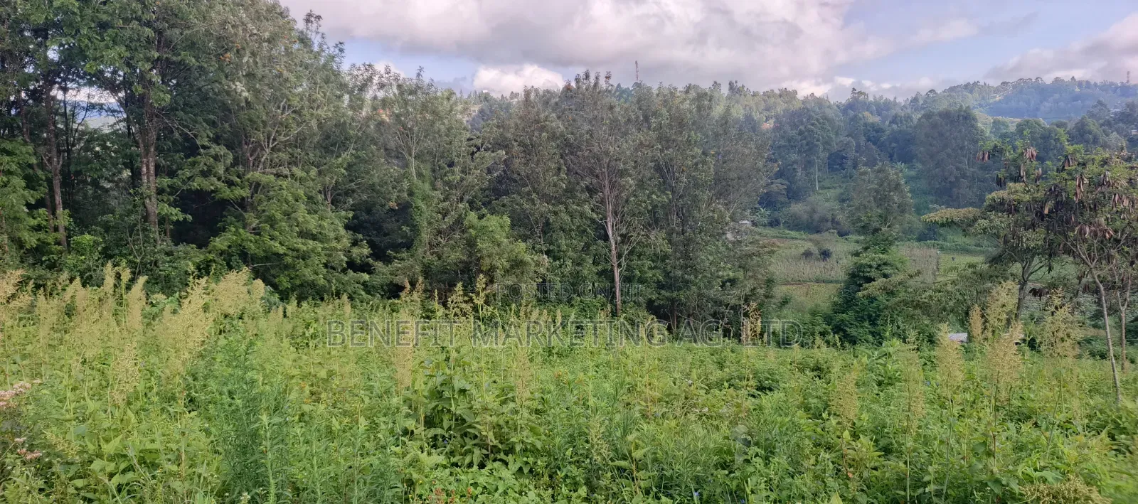 Quarter Acre Plots for Sale in Ngong Matasia, Barabara Mpya