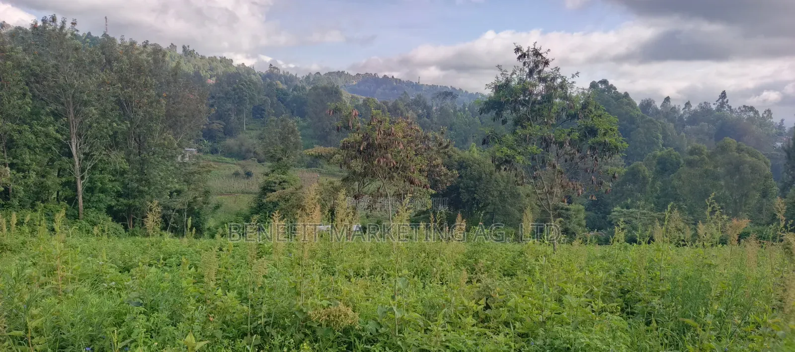 Quarter Acre Plots for Sale in Ngong Matasia, Barabara Mpya