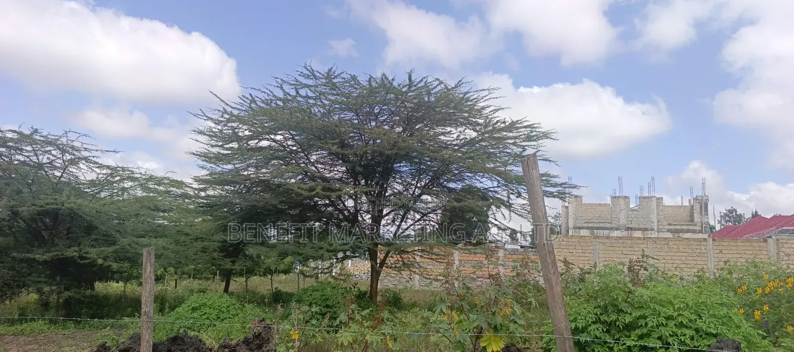 Eigth Acre Plot for Sale in Ngong Matasia Merisho Road
