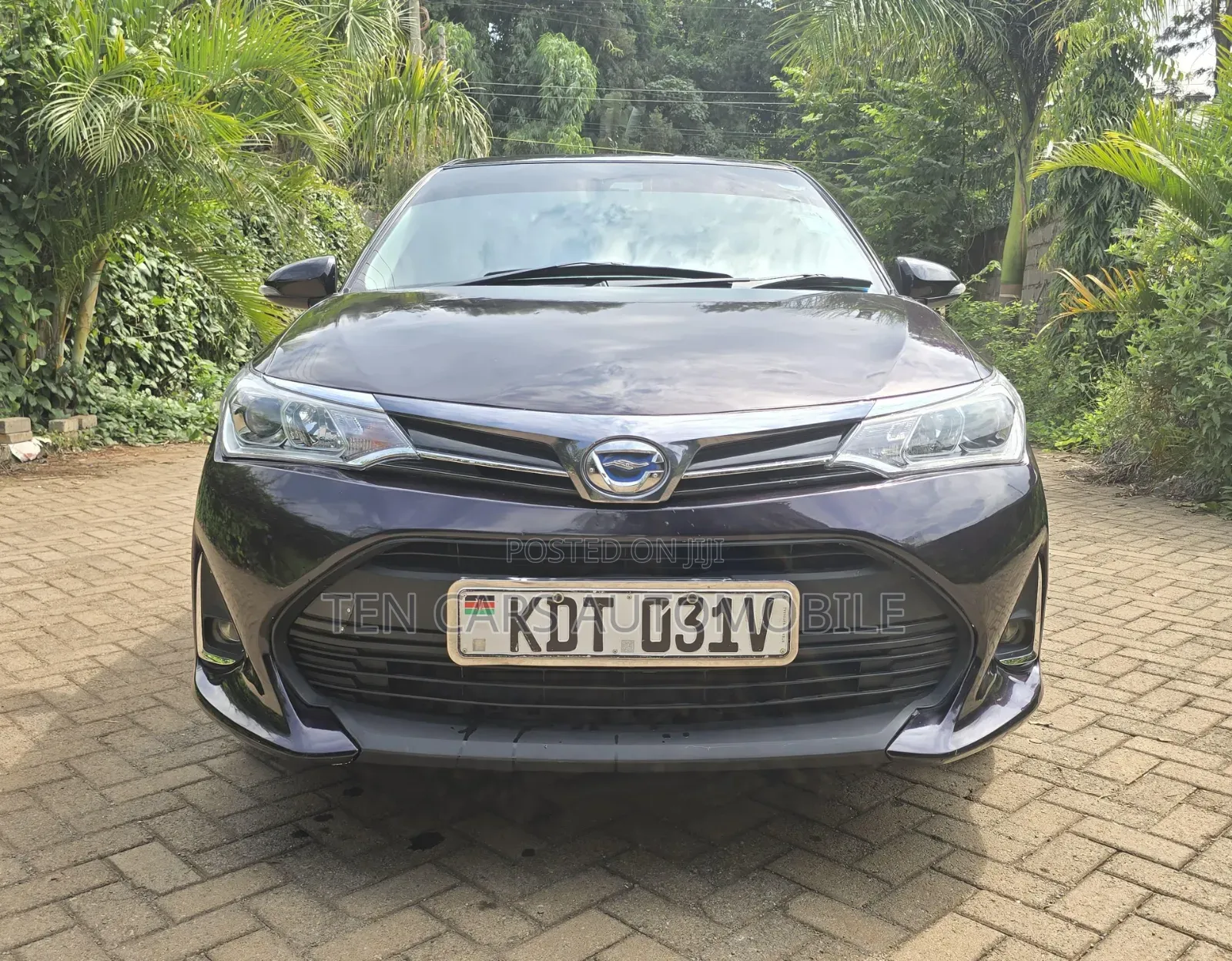 Toyota Axio 2018 Purple