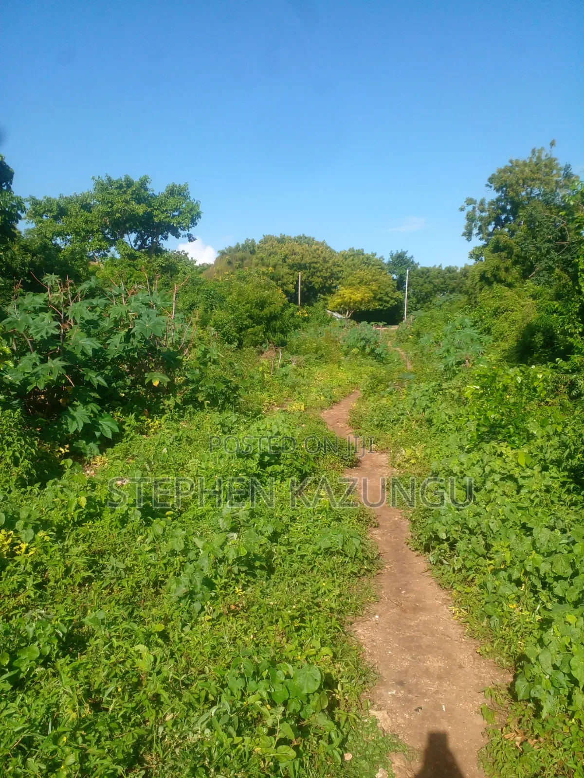 1/4 Acre Plot on 2nd Row Only 250 Metres From the Beach.