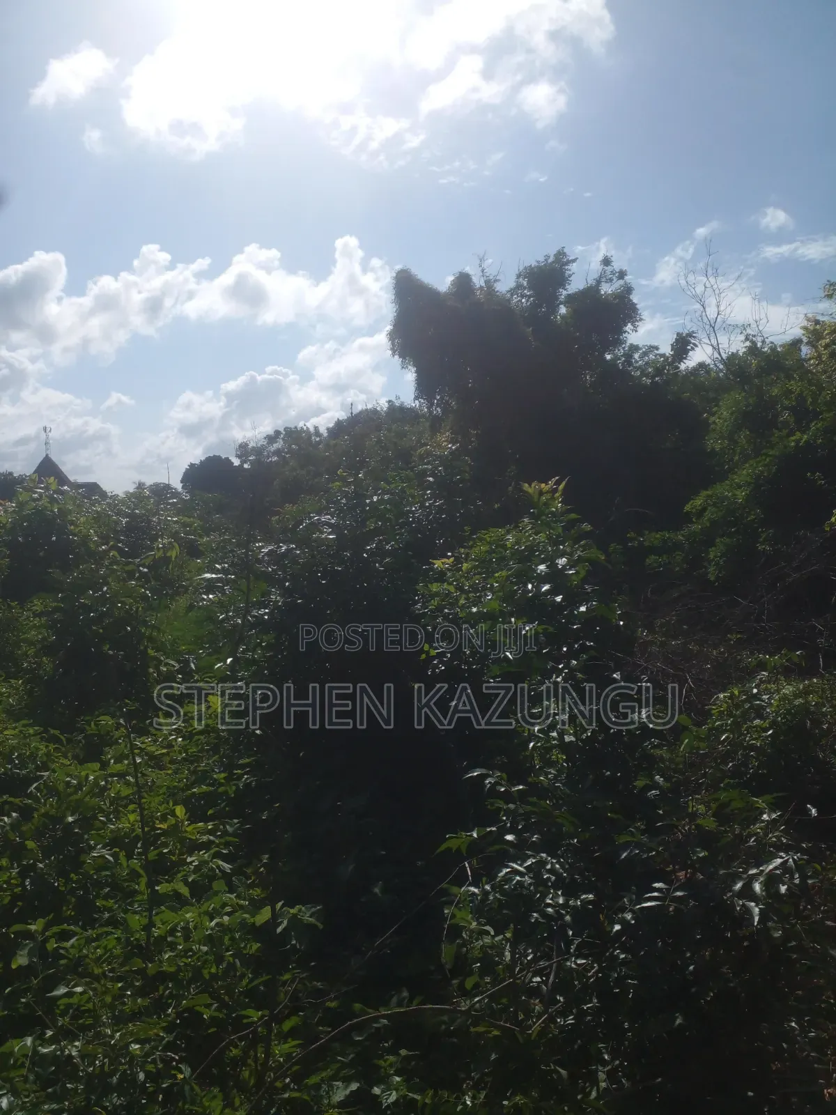 Diani Beach's 1/2 Acre Plot on 2nd Row Only 250 Metres From the Beach.