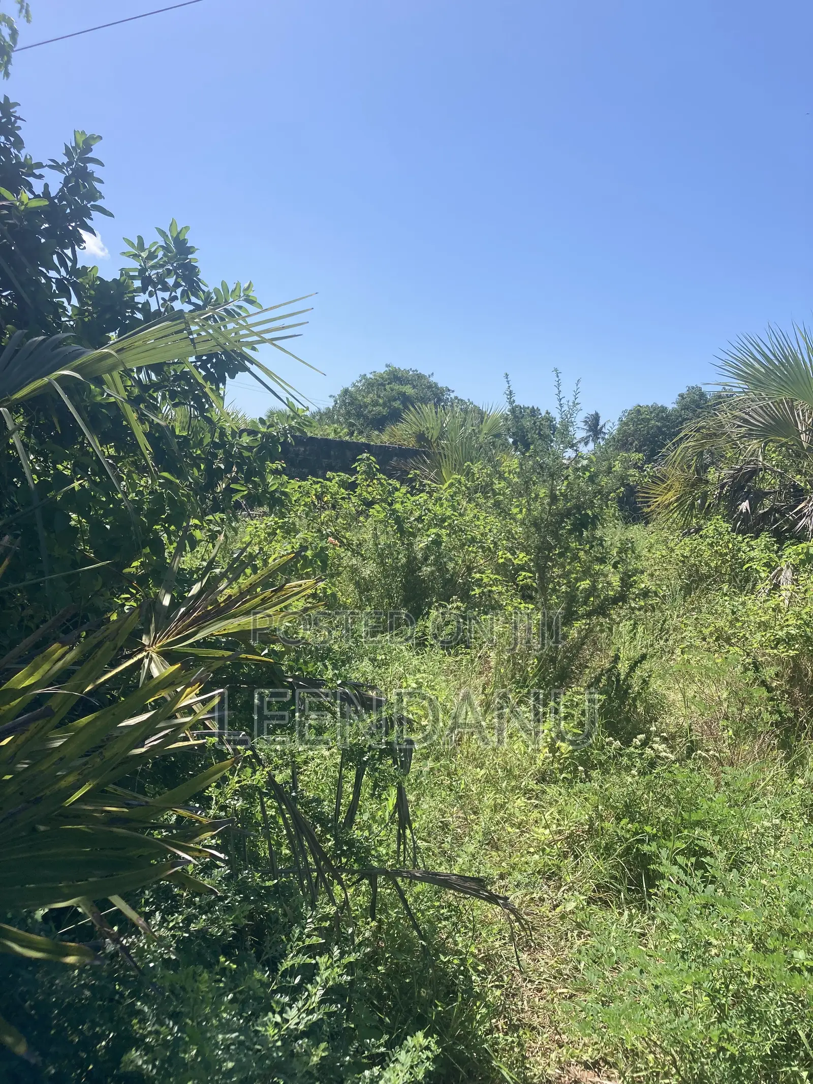 Residential/Commercial Land