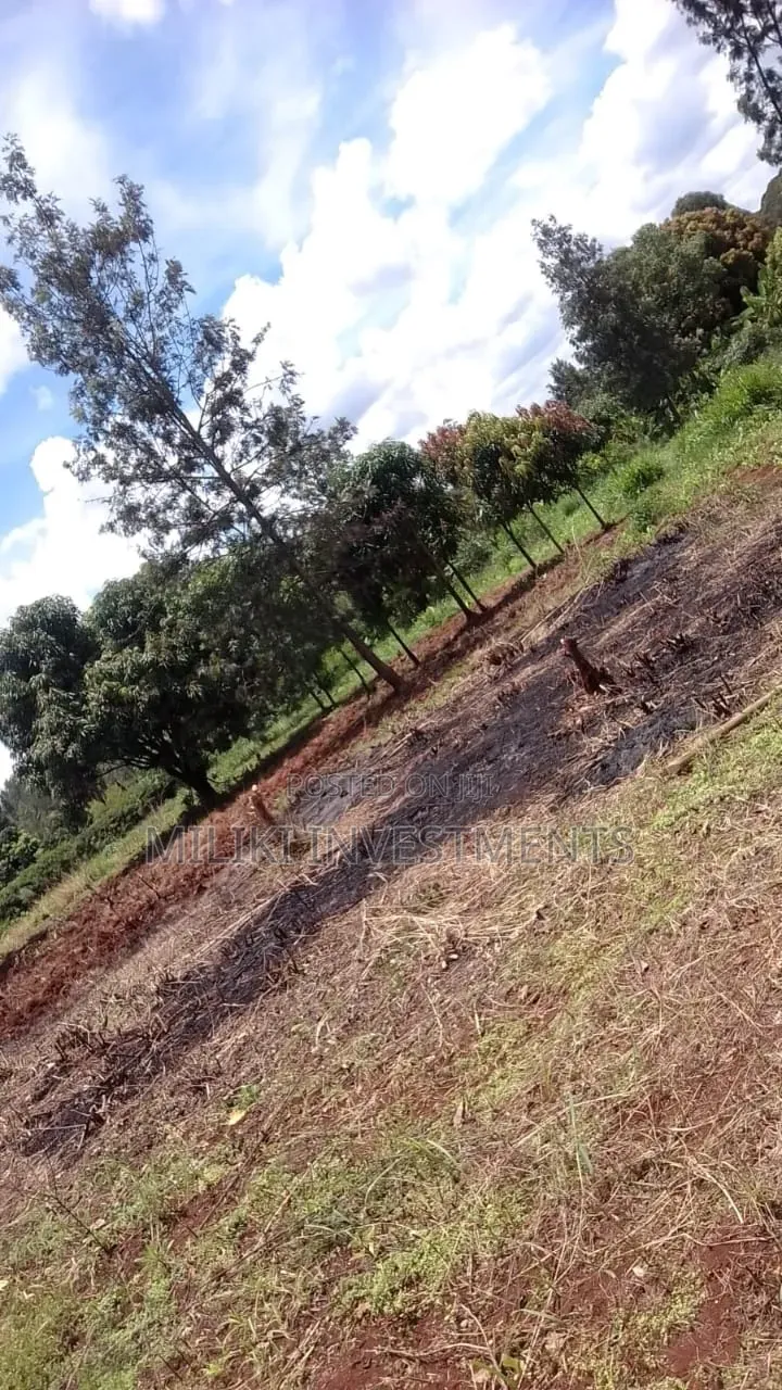 50 by 100 Sale at Gatundu-Kimunyu