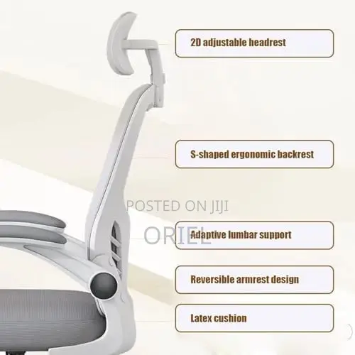 Office Chairs : Ergonomic High-Back Office Chair