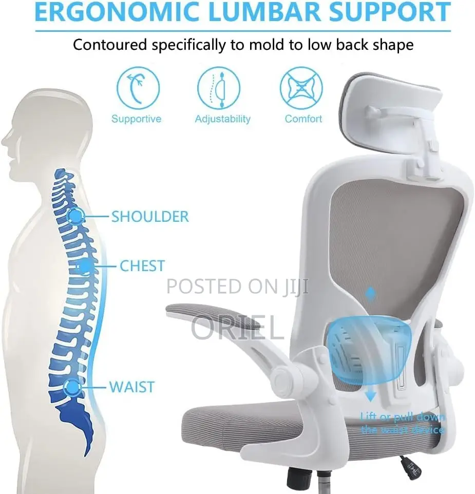 Office Chairs : Ergonomic High-Back Office Chair