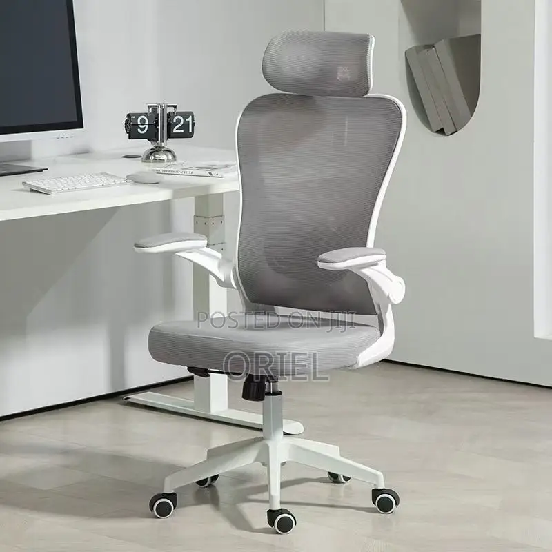 Office Chairs : Ergonomic High-Back Office Chair
